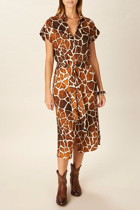 DRESS WITH POLOCOLLAR AND BELT BROWN 2