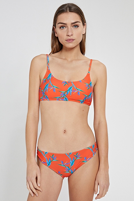 LADIES CRANEFLOWER LOW BRIEF MULTI COLOUR 3