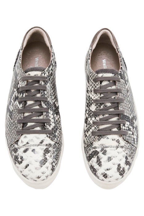 JADA LEATHER LACE UP TRAINERS GREY MULTI 3