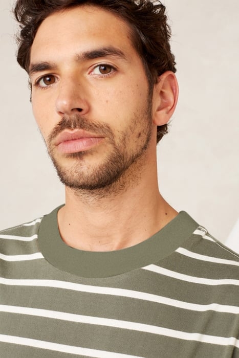 CONRI TREETOP STRIPE 5