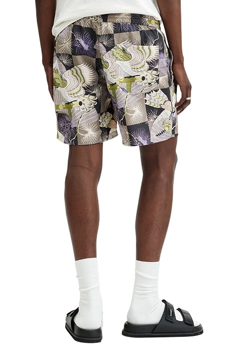 SEBASTIAN SWIMSHORT MILKY GREY 2