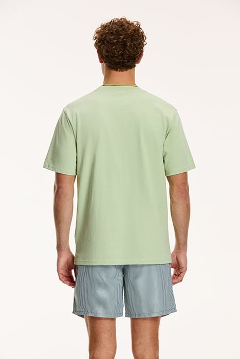 PALM T-SHIRT DUST GREEN 2