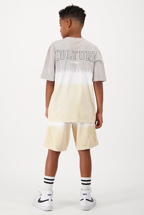 BOYS BENSON SHORTS GREY FOG 2