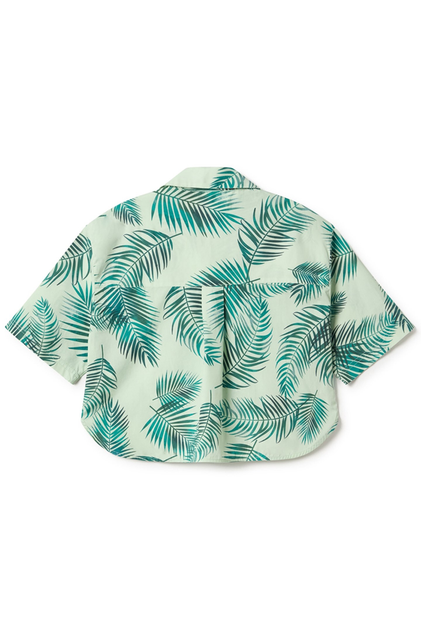 SAMAMA - PALM PRINT 4
