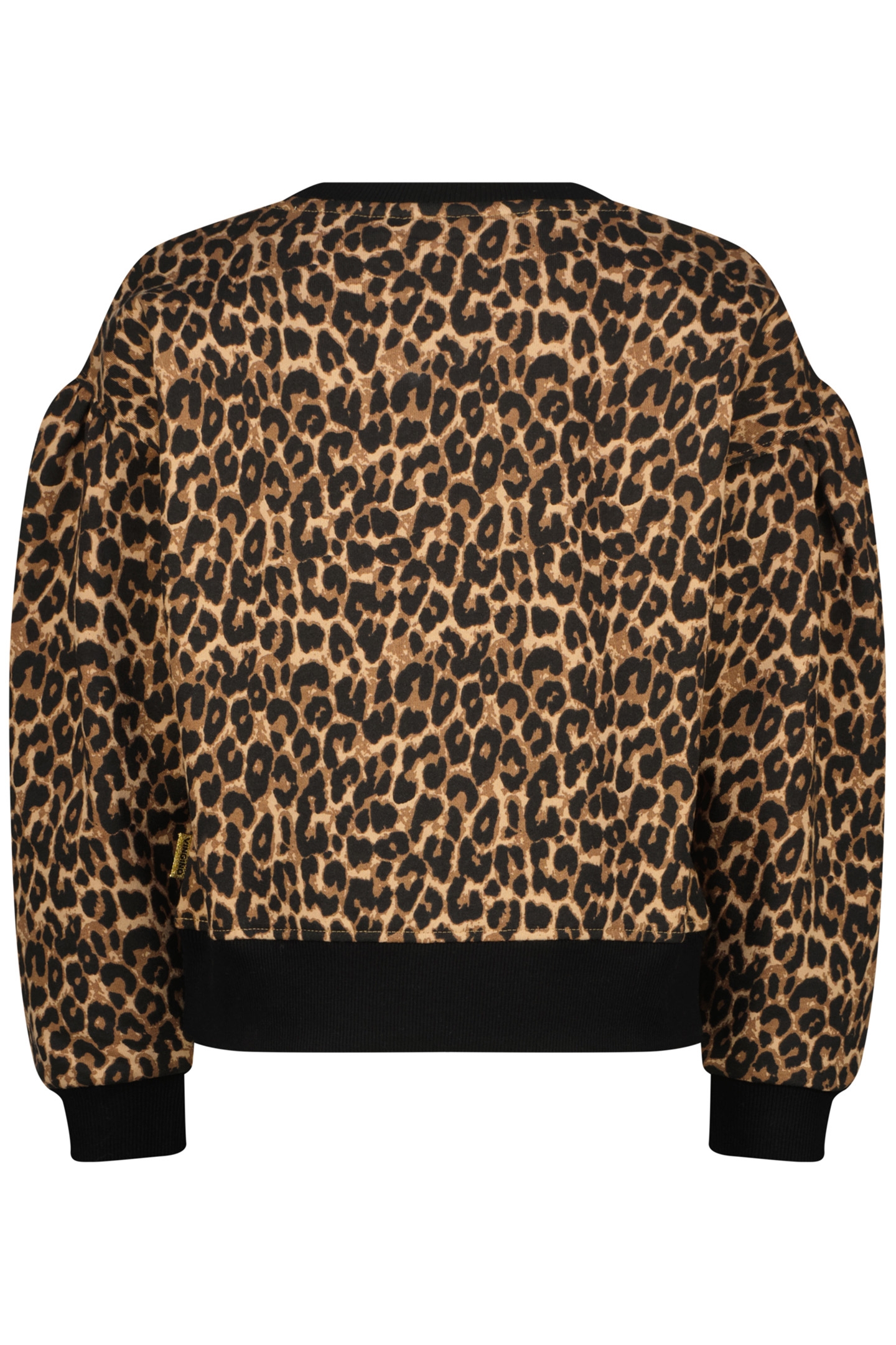 NORIEN MULTICOLOR BROWN 2