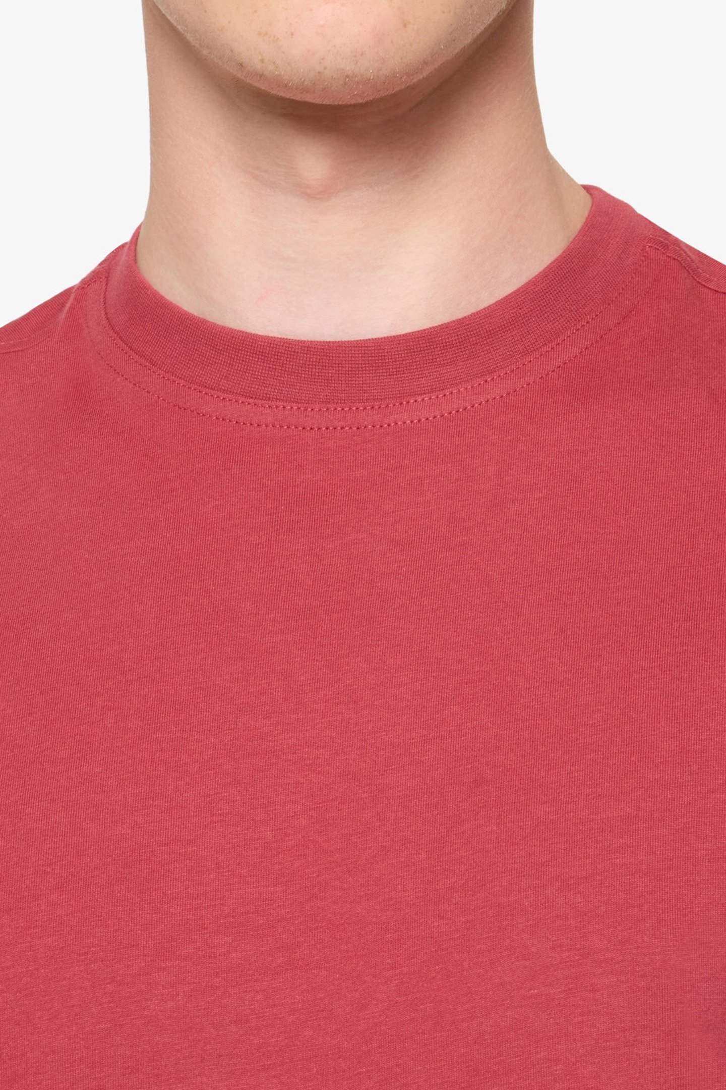 EDDYSI + RED EARTH 6