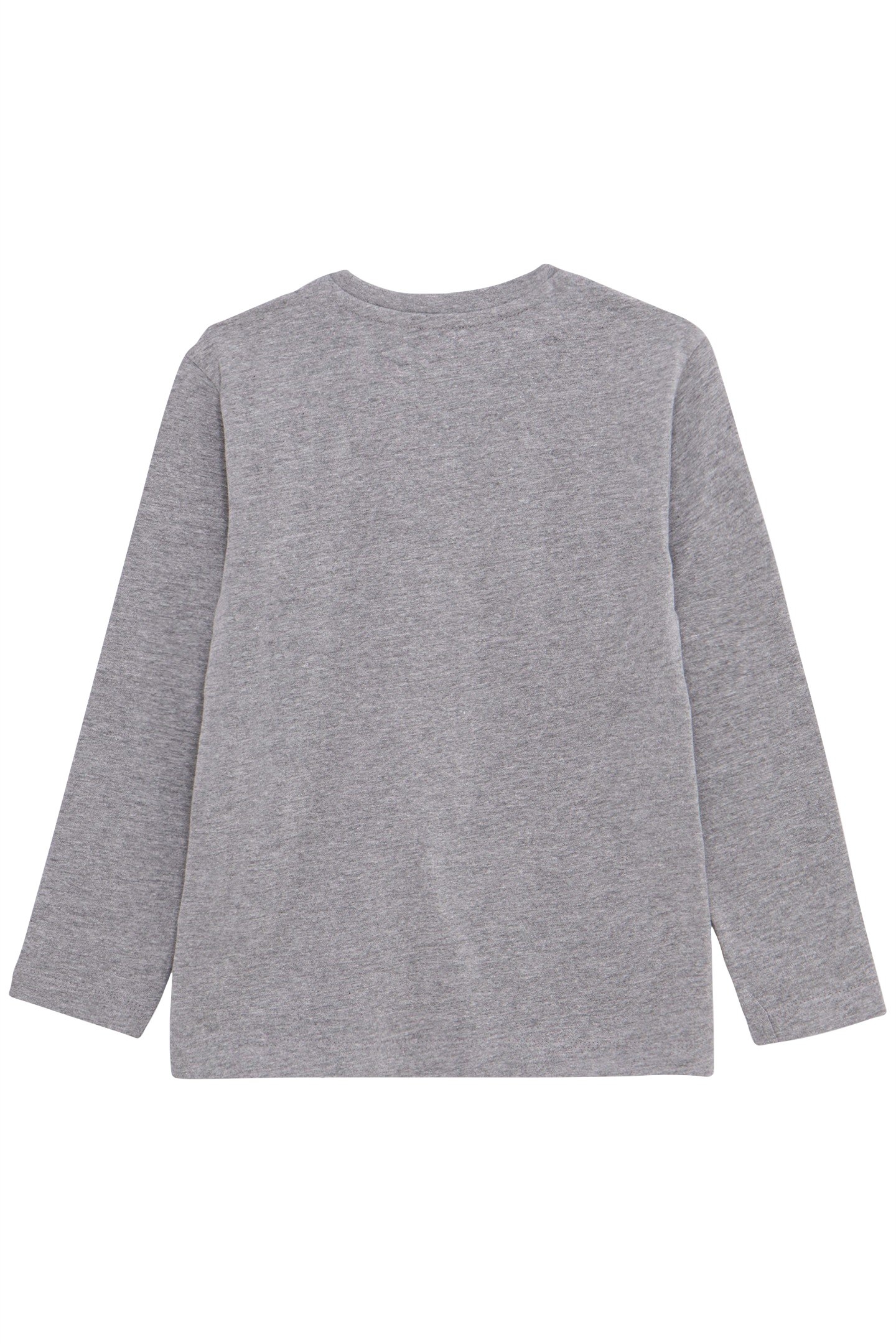 GREY ORGANIC COTTON T-SHIRT VISUAL BOY WOLF-DOUDOUNE 2