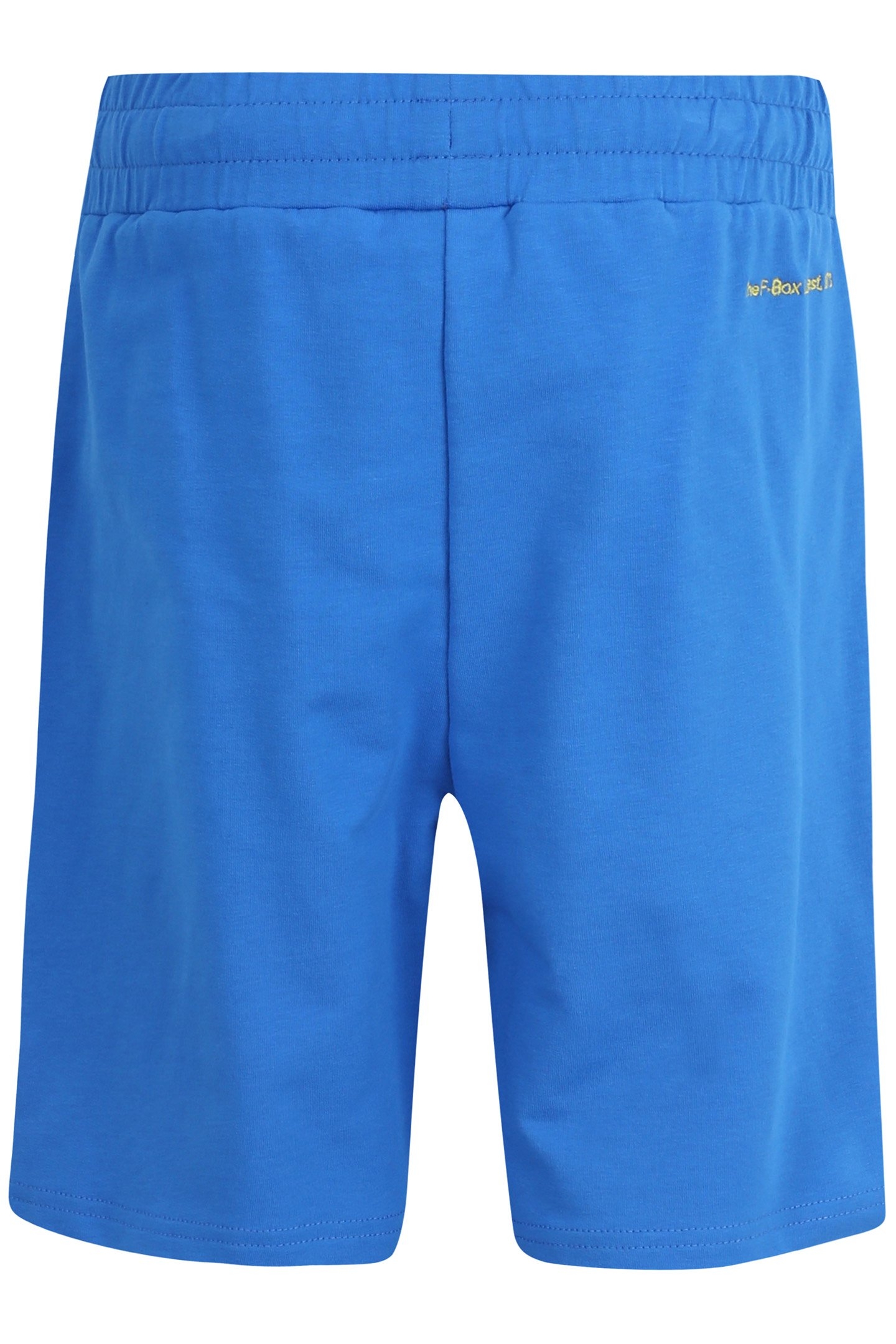 BOYS BEXTEN SHORTS PRINCESS BLUE 2