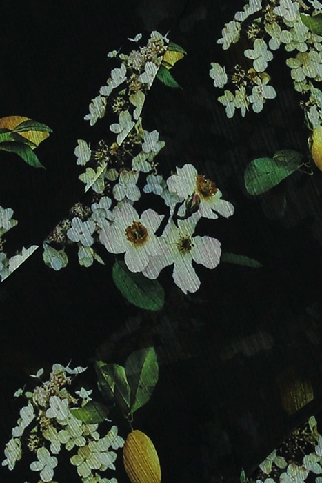 KASA EUGENIA SKIRT BLACK 3