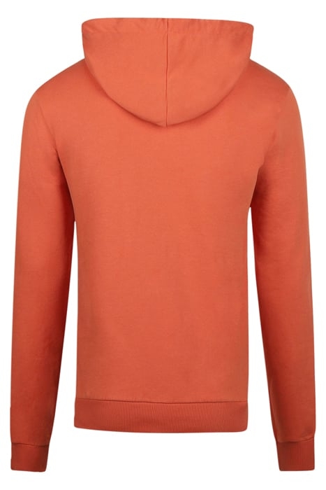 GRAPHIC HOODY TERRA 2