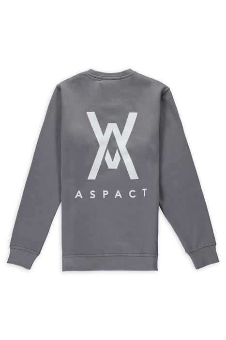 ASPACT BACK LOGO SWEATER QUICK SILVER 2