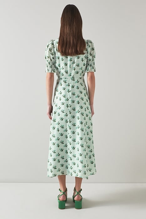 DR TABITHA - PRIMULA PRIN PALE BLUE 3