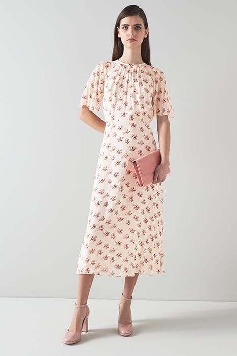 DR ELOWEN - PRIMULAR PRIN MULTI 2