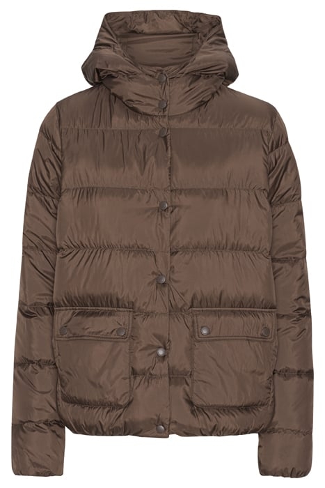 WALK05 CHOCOLATE BROWN 3