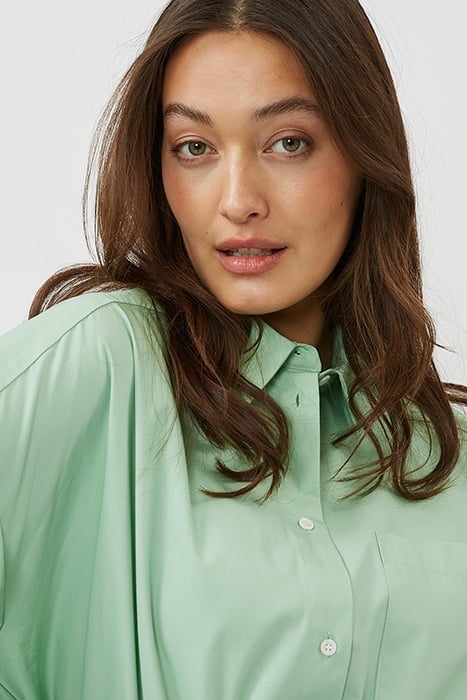 LUCCALIS 9558 HEMLOCK 4