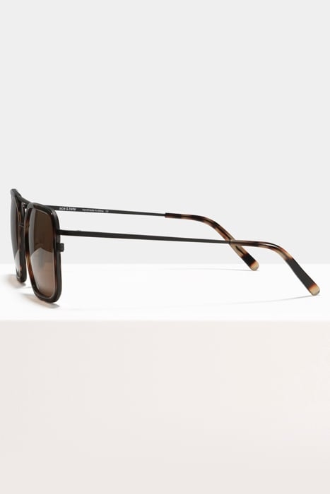 SEAN-SUGAR-MAN-SUN 3