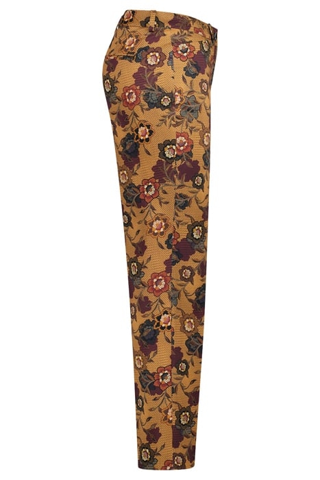 DENISE5-644721 CAMEL 3