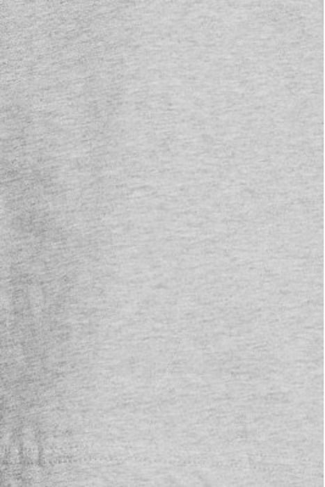 DEMI AMSTERDAM TEE GREY MELANGE 5