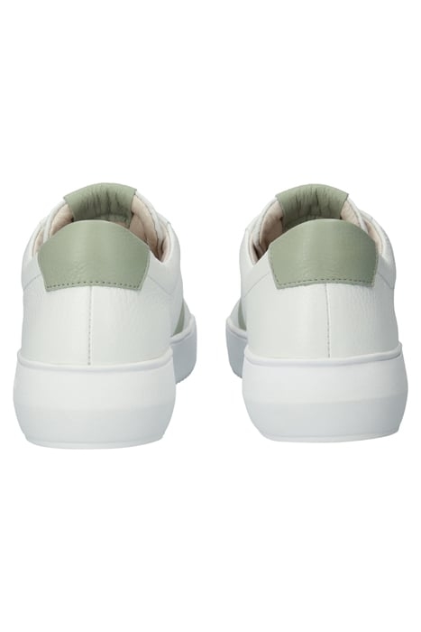RYDER - BL220 WHITE RESEDA - SNEAKER (LOW) WHITE RESEDA 8