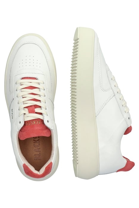 MARLY - BL223 WHITE BEGONIA - SNEAKER (LOW) WHITE BEGONIA 3