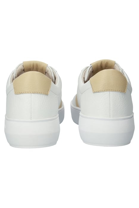 RYDER - BL220 WHITE SOYBEAN - SNEAKER (LOW) WHITE SOYBEAN 8