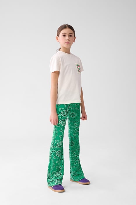 GAA-SBPAISLEY FLAIR GREEN 1