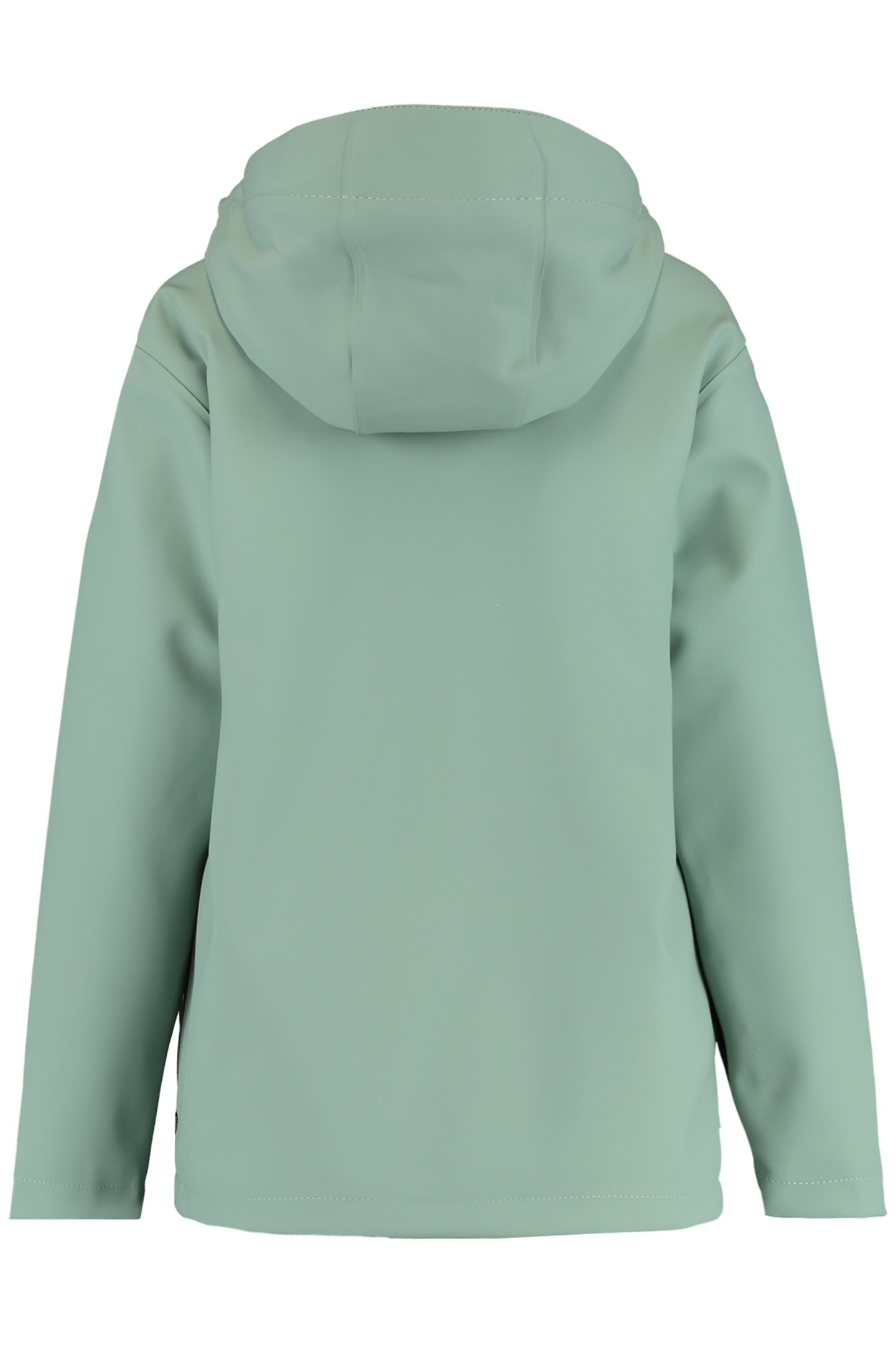 JANICE TEDDY JR SAGE 2