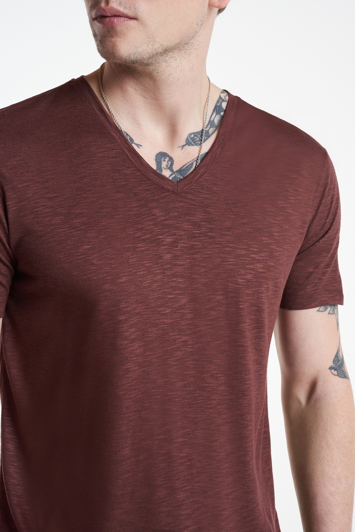 ASTOR REGULAR FIT SS V-NECK PRUCE 3