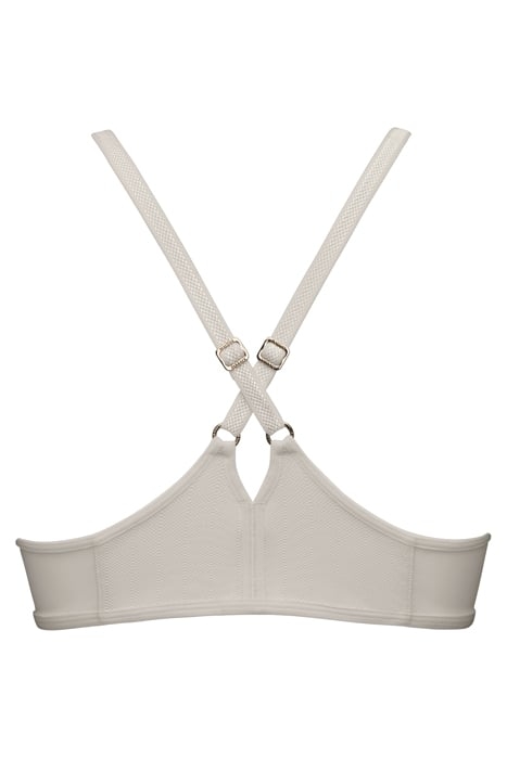 THE MAURITSHUIS IVORY 4