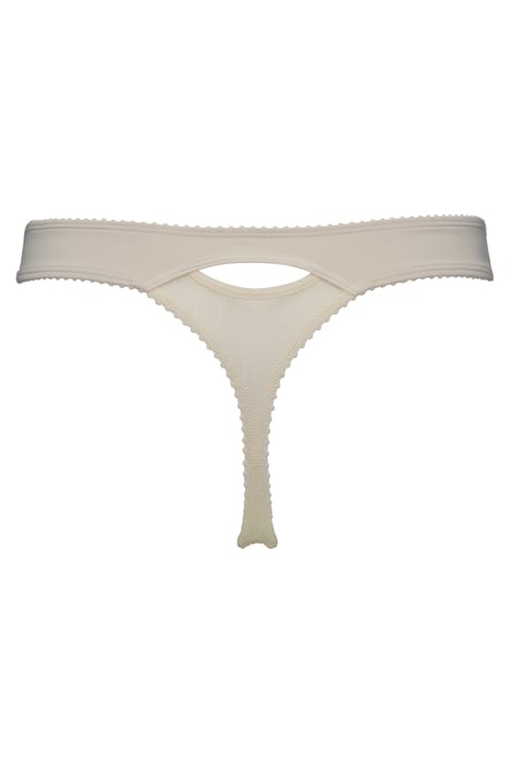 THE MAURITSHUIS IVORY 4