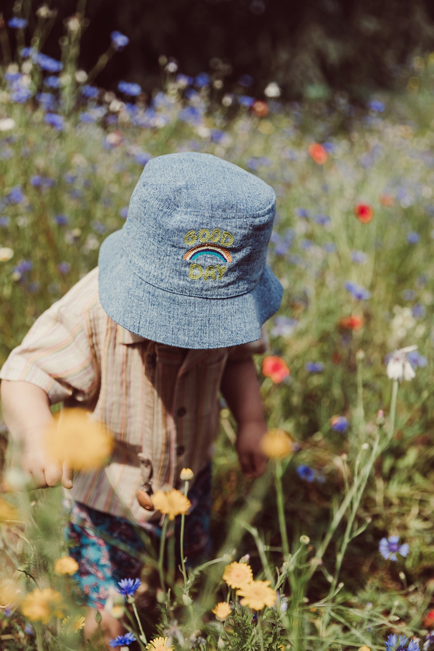 SHIRT ALOV MULTICO RAINBOW LINE 6