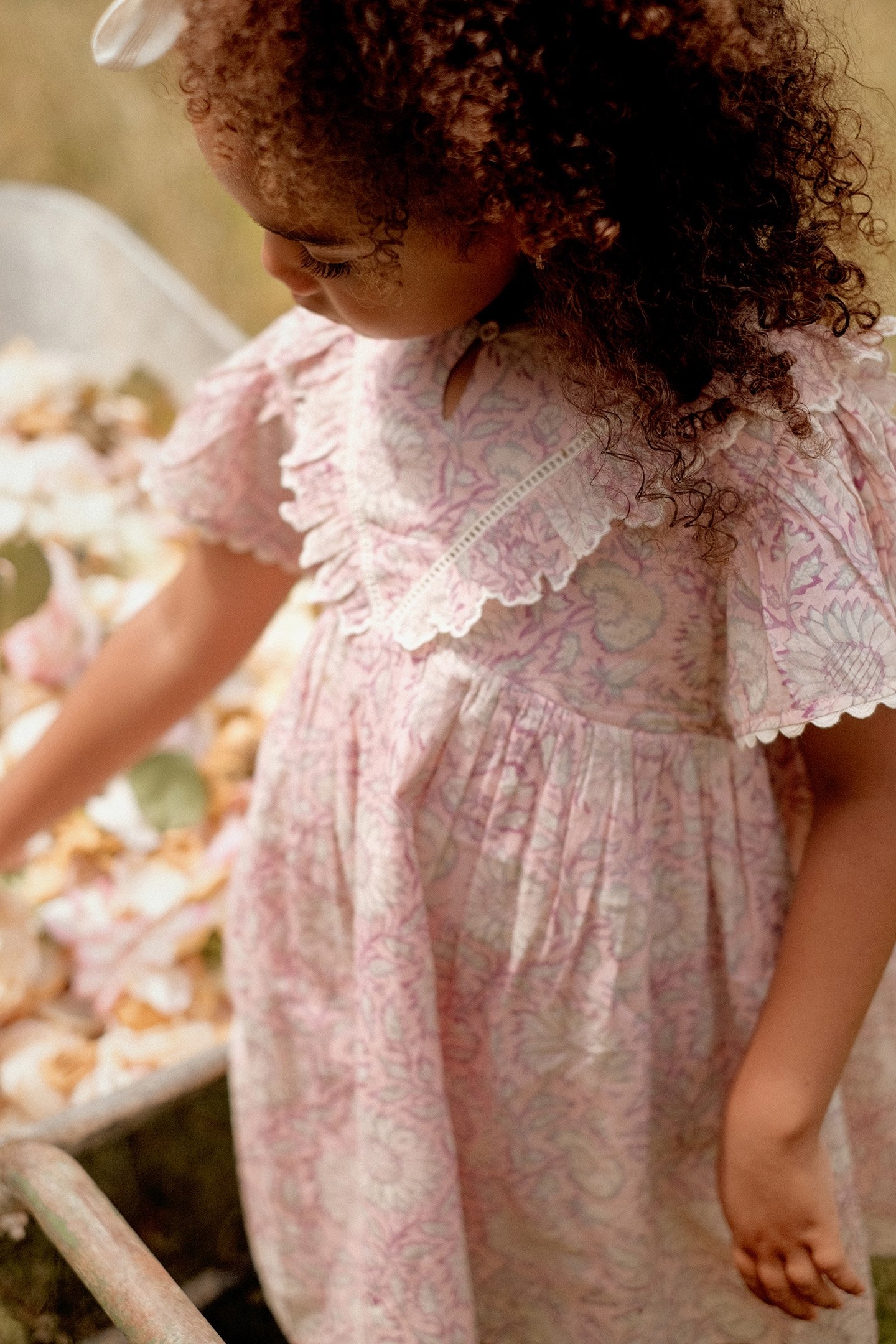 DRESS SILOE PINK DAISY GARDEN 6