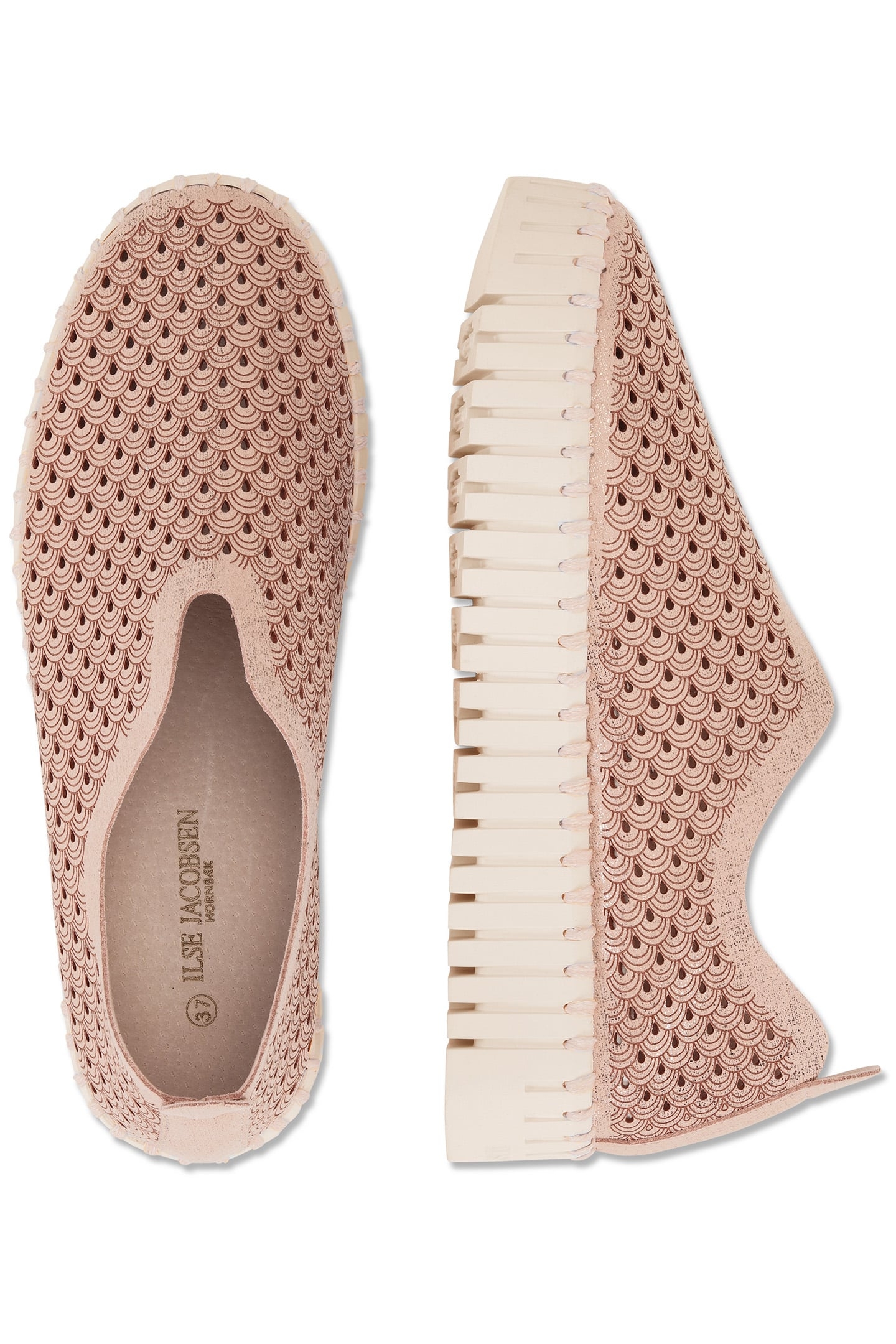 TULIP3889 ADOBE ROSE 3