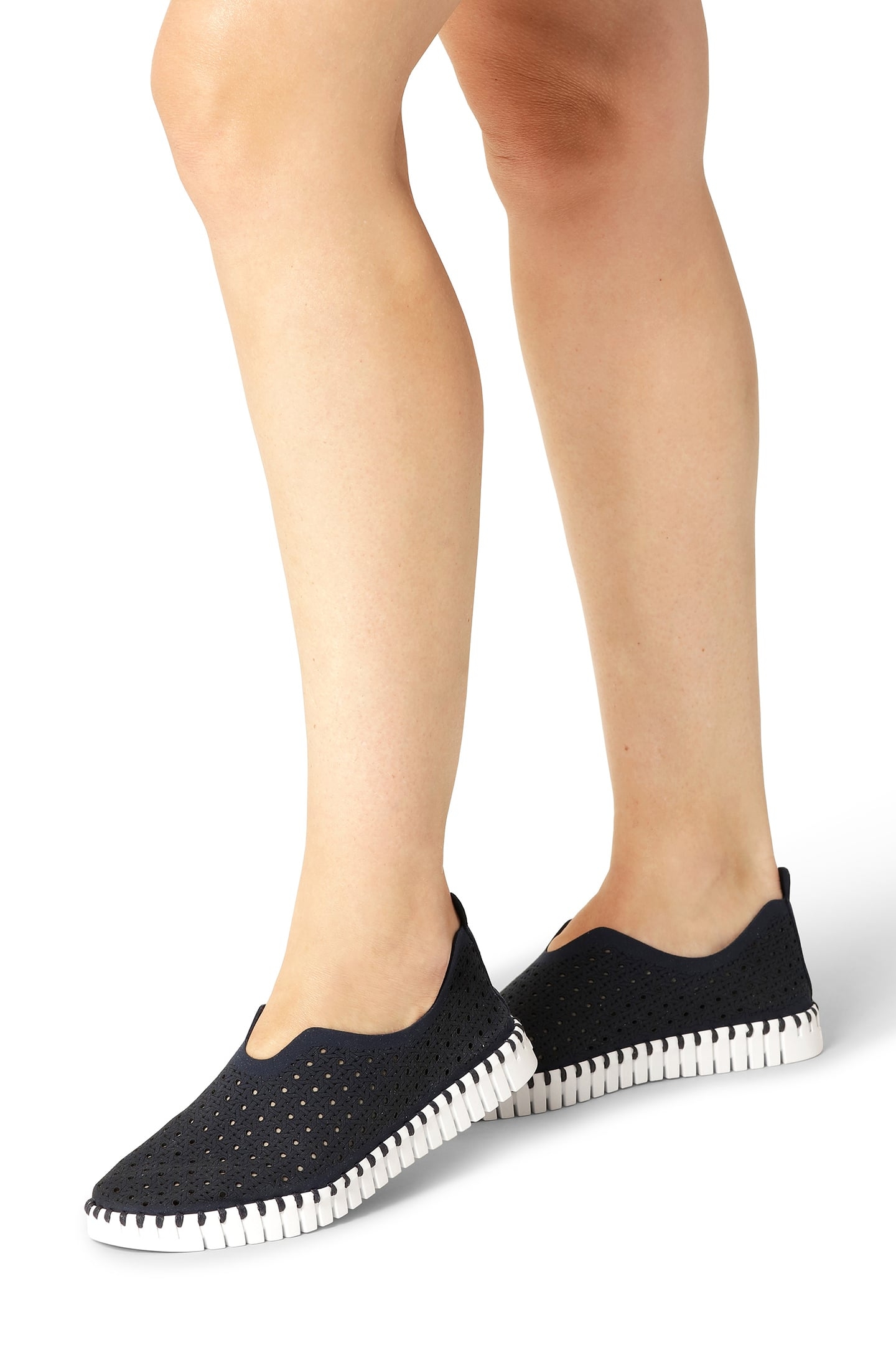 TULIP4031 DARK INDIGO WHITE 2