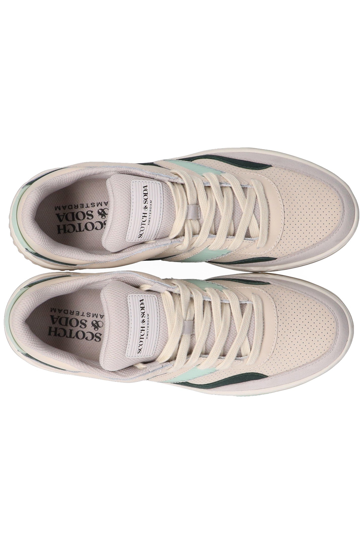 NEW CUP BEIGE-GREEN 5