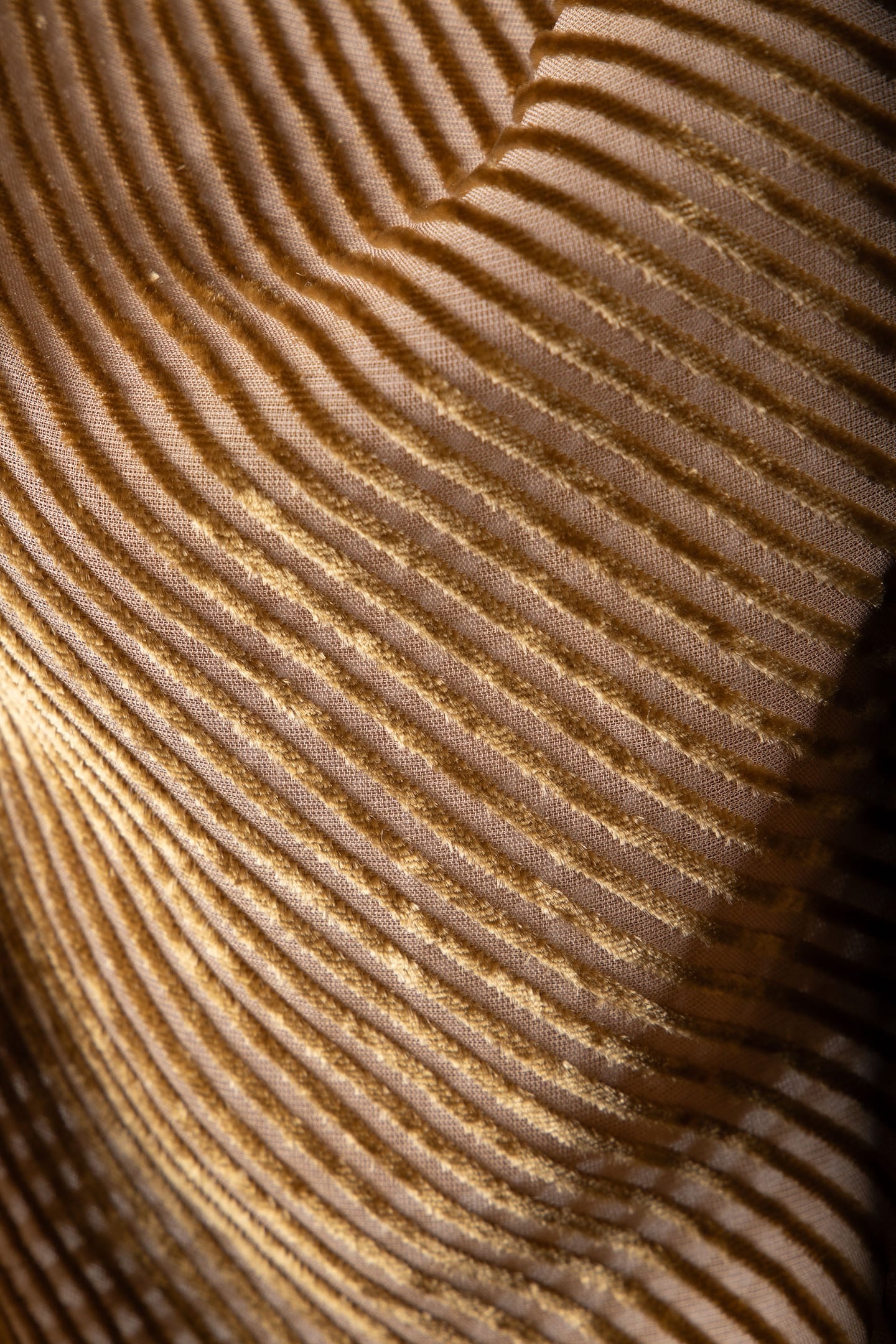 ZITIKA TOP CAPPUCINO 5