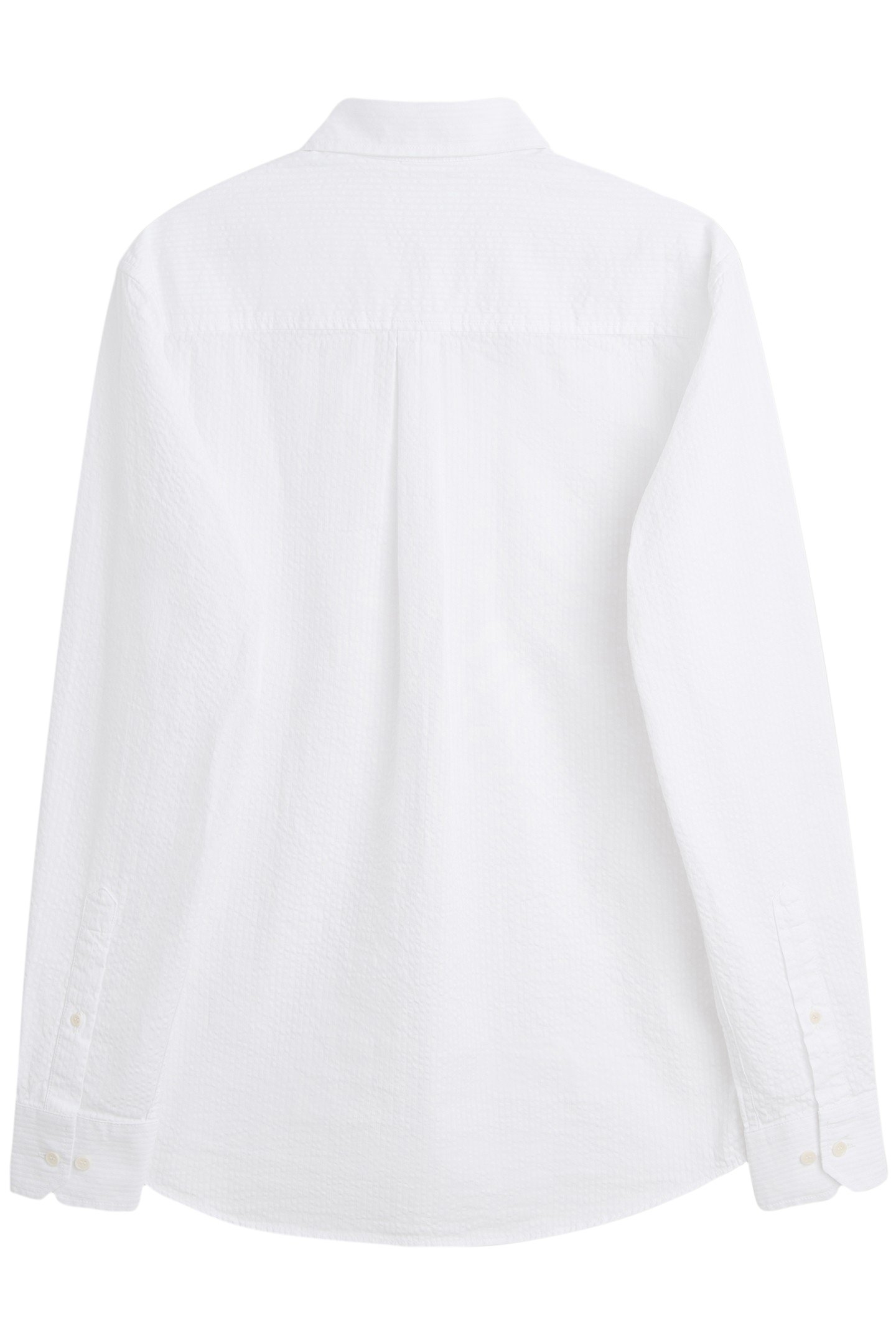 RADO SHIRT WHITE 2