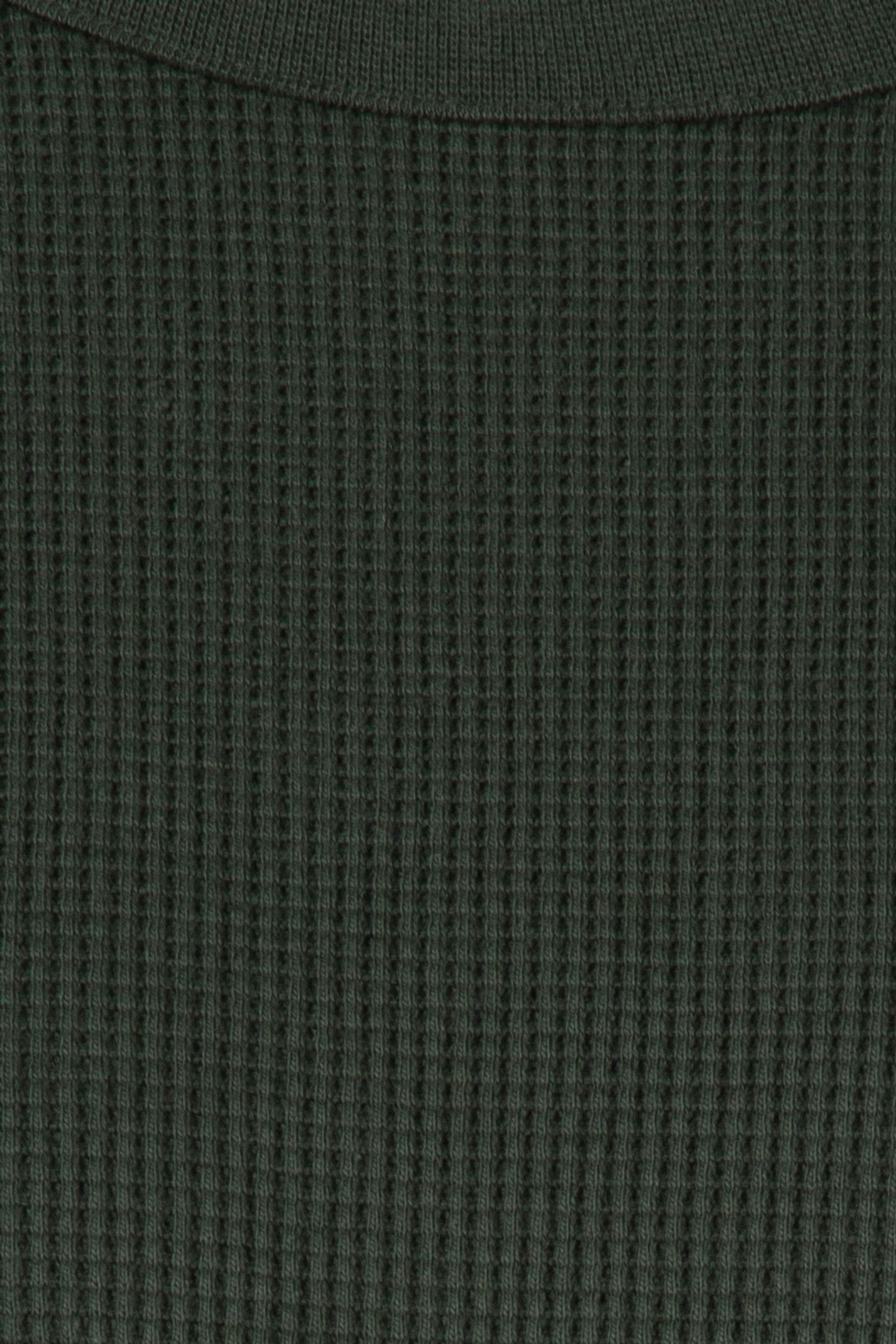 SKATE LS THERMAL DRIED KELP 4