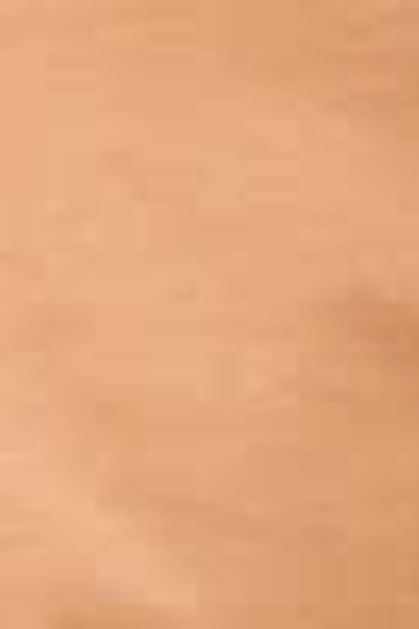 CHIPMUNK KLJ SLIM SS TEE 7