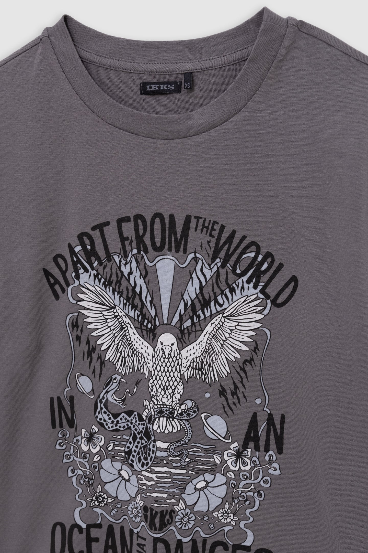 GIRL'S VISUAL EAGLE T-SHIRT IN GREY ORGANIC COTTON 3