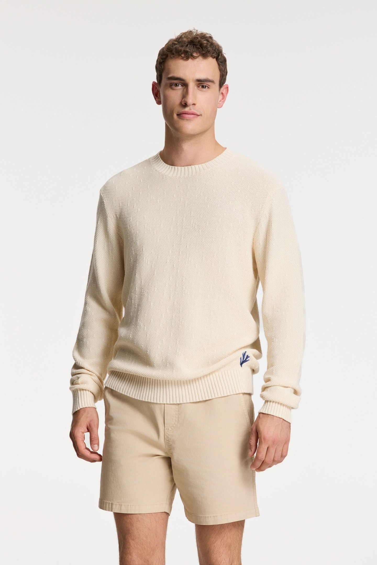 PALMER PULLOVER SOLID BEIGE 3