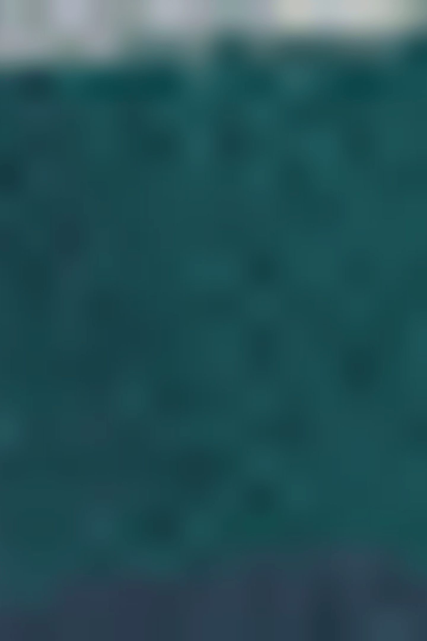 MORGAN Z GREEN/BLUE 5