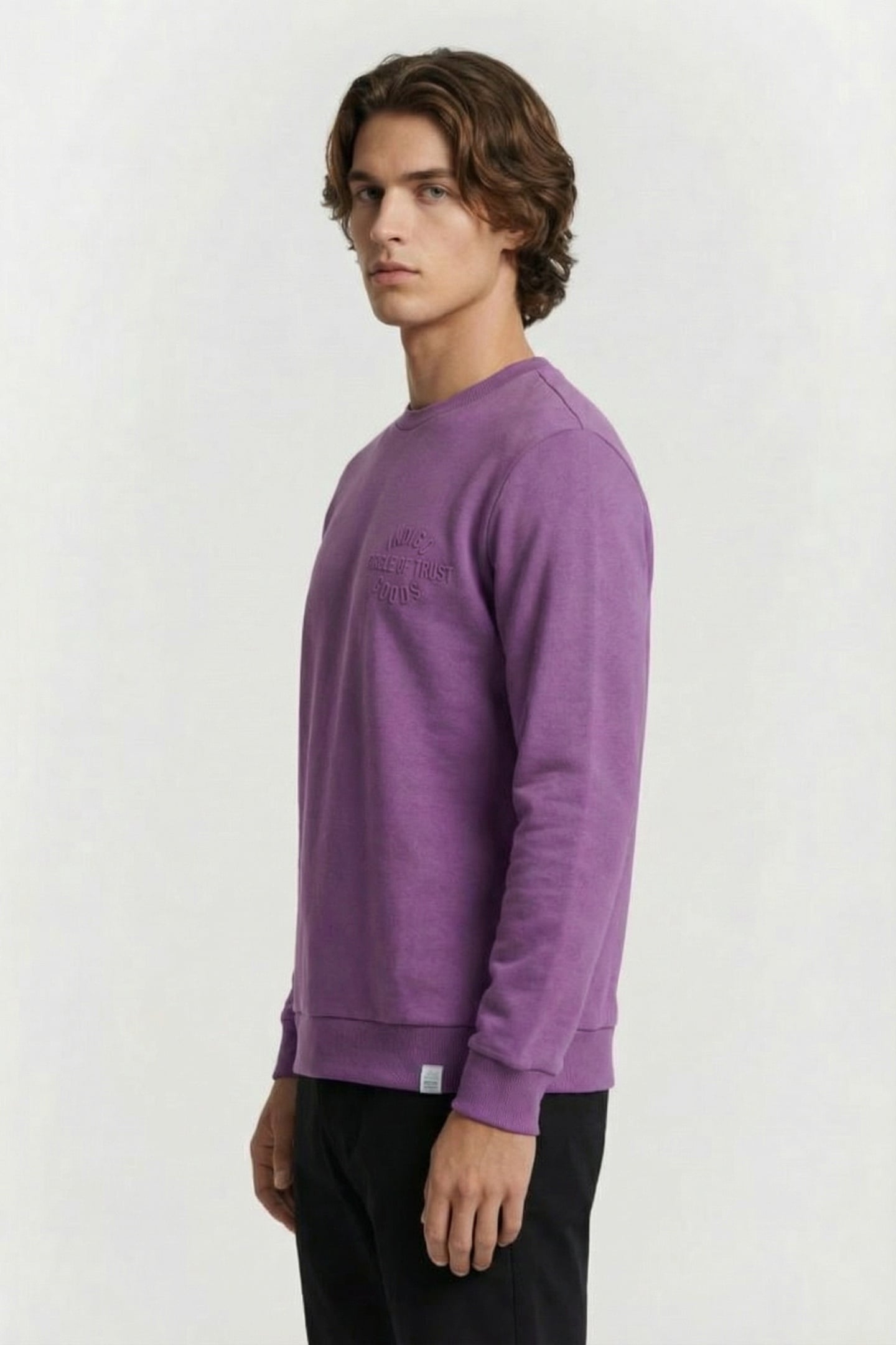 ROBIN SWEAT BERRY 3