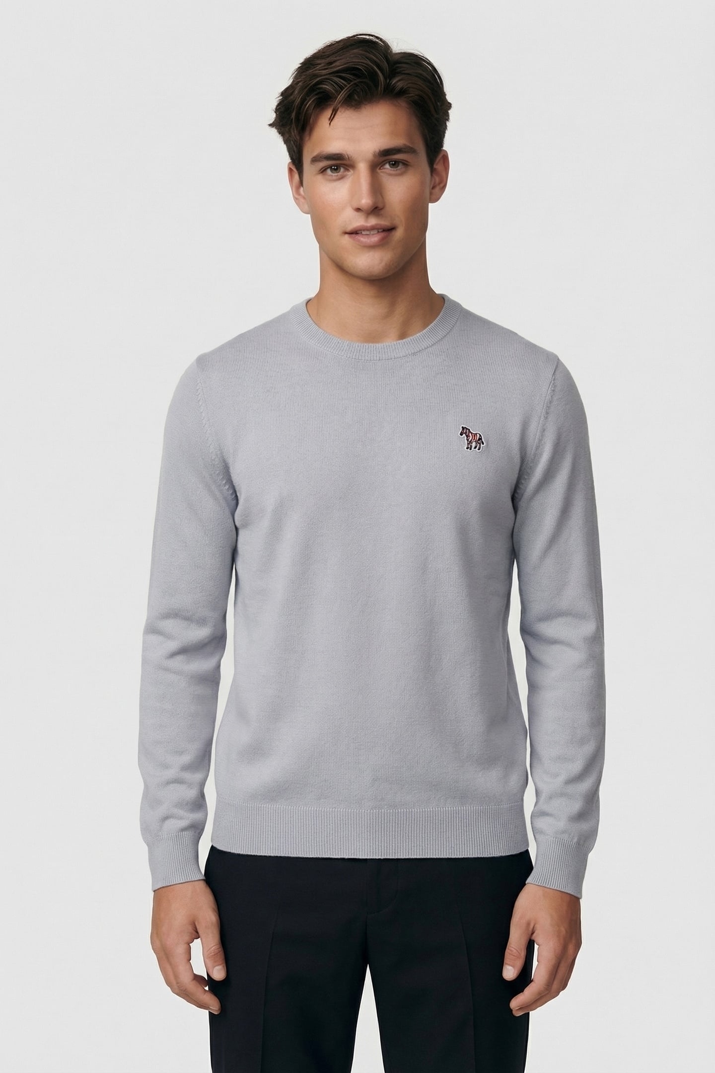 SWEATER CREW NECK ZEB BAD GREY 1