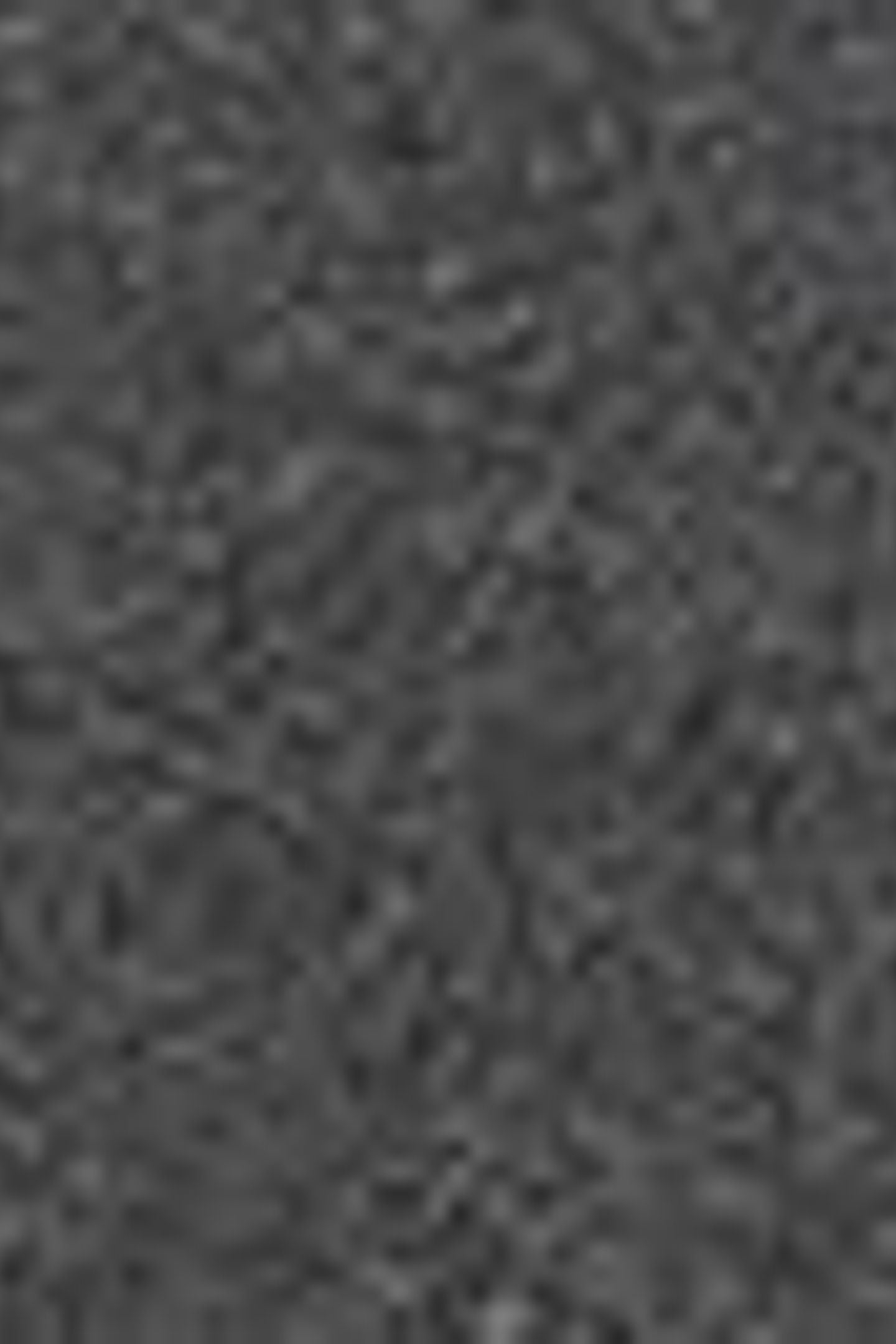 LUX LEATHER BELT BLACK 5