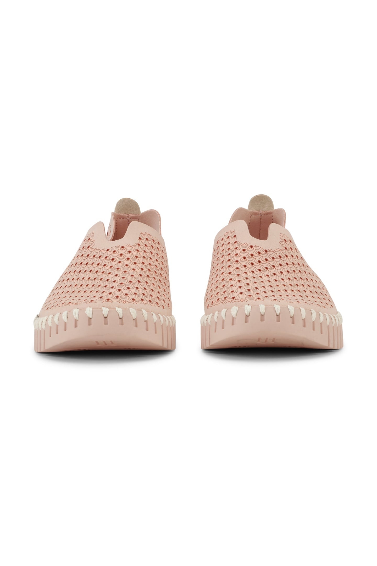 FLATS TULIP3977 ADOBE ROSE 3