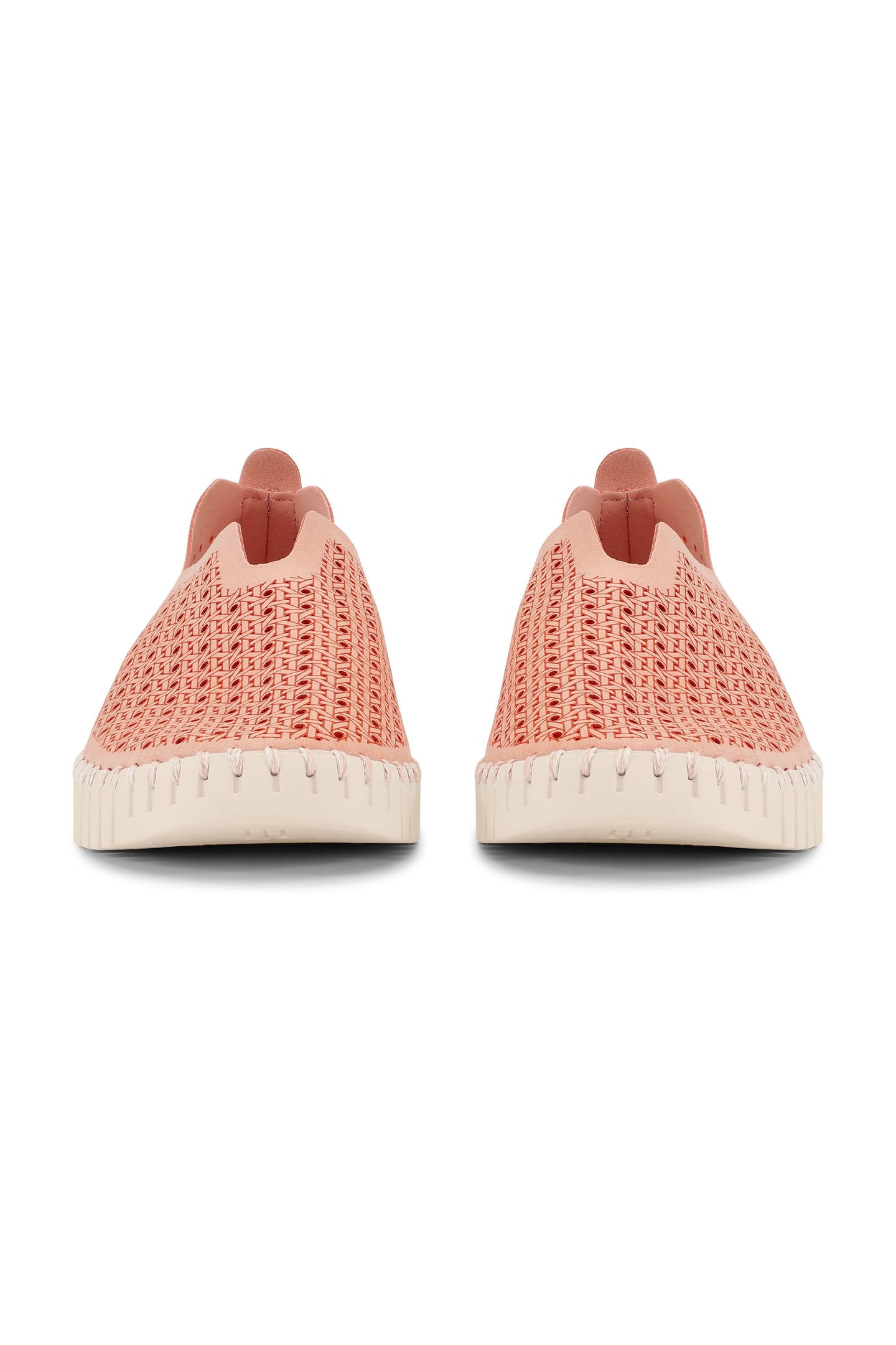 FLATS TULIP4031 ADOBE ROSE PEARLED IVORY 5