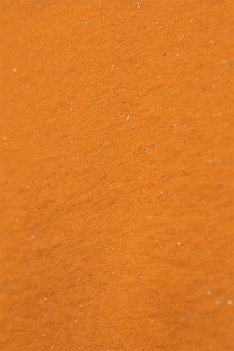 T-SHIRT JERSEY LONG SLEEVES 81101365 HONEY GINGER 5