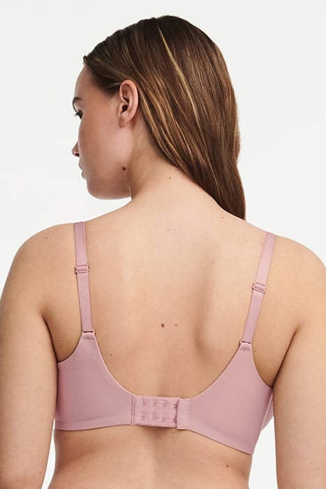 EVERYDAY GRAPHIQUE ENGLISH ROSE 2