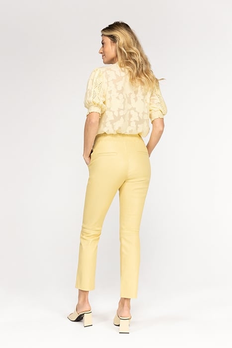 PABLO BUTTERY YELLOW 2